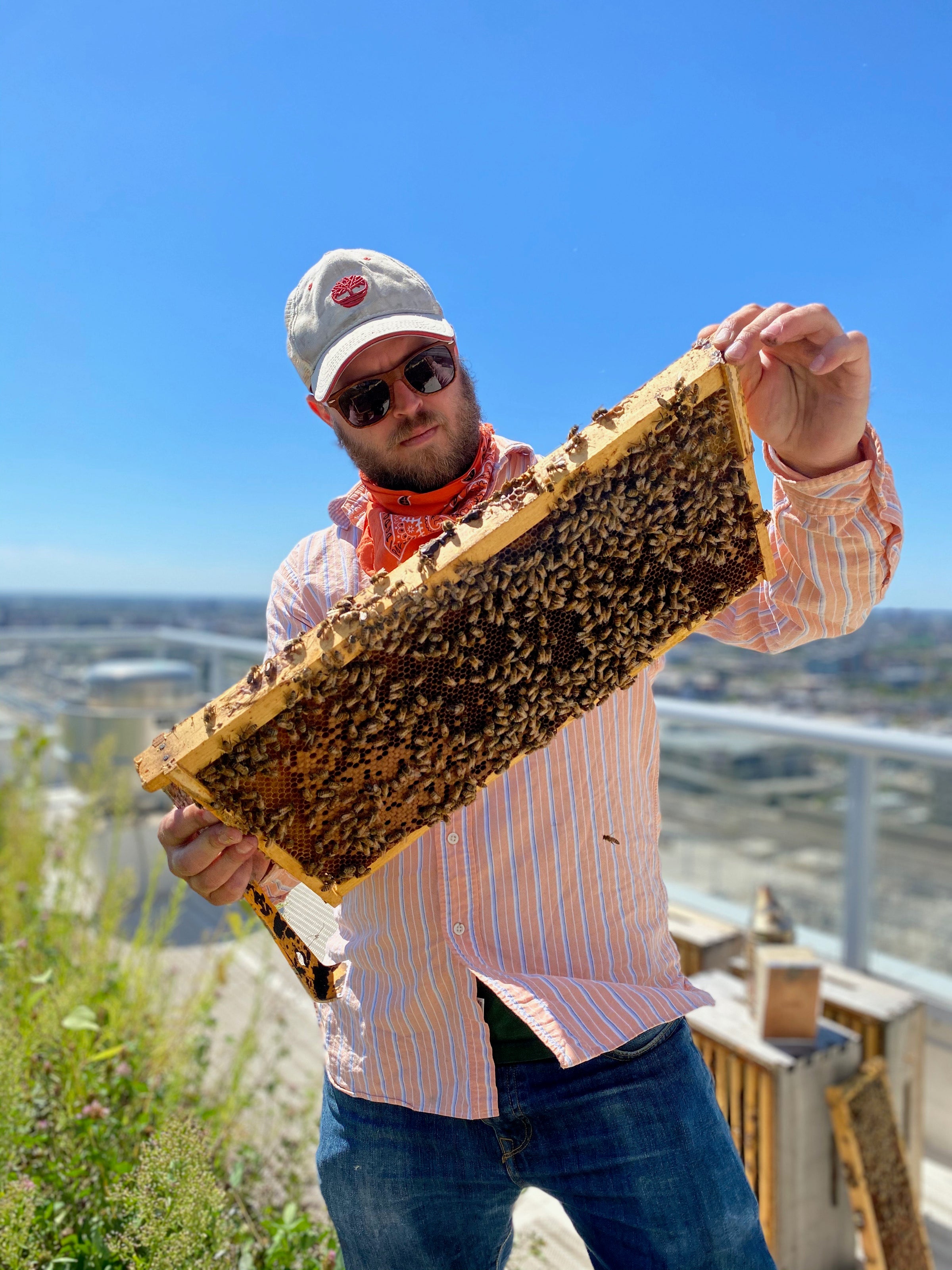 Swarm lure  THE HIVE: CHICAGO'S BEEKEEPING SUPPLY STORE